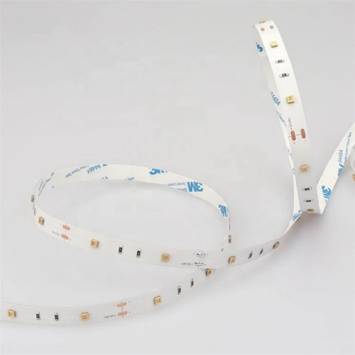 uv strip light for tortoise